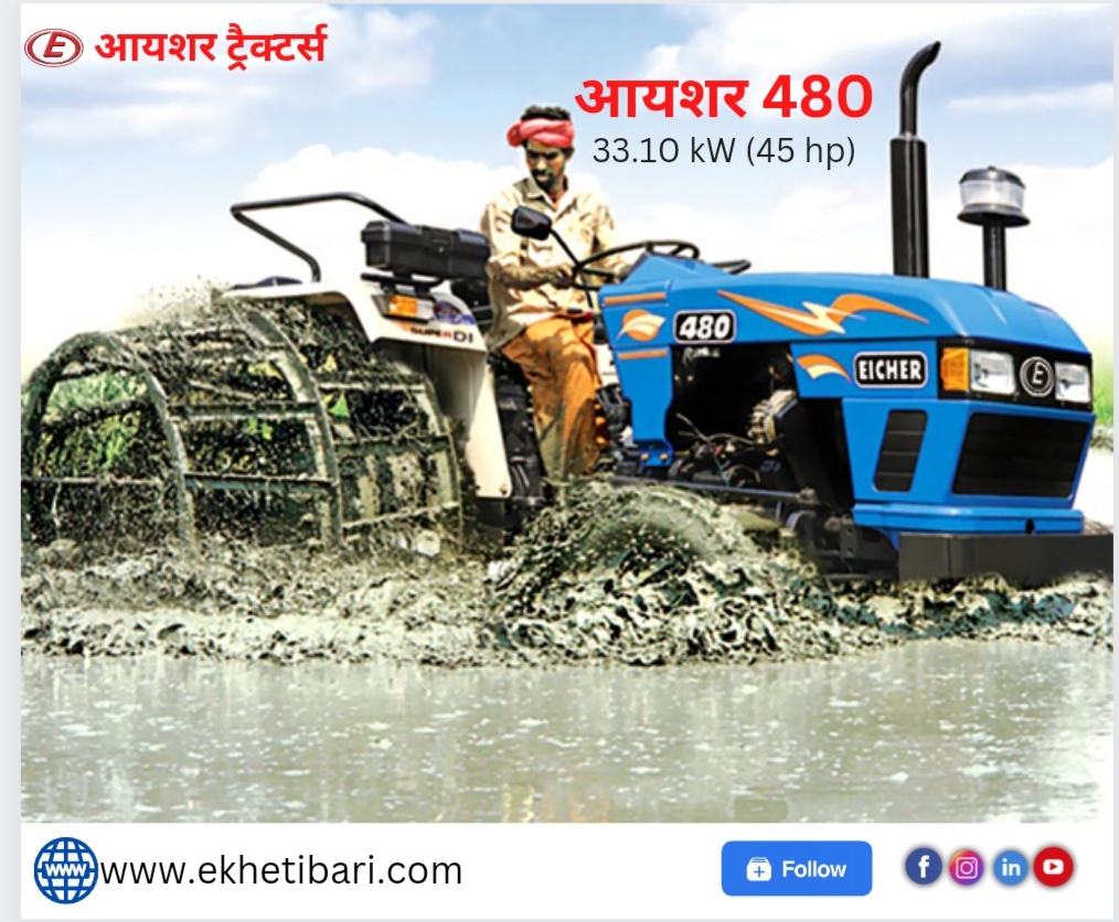 Eicher 480