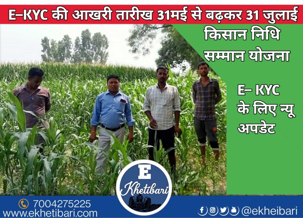 PM Kisan Yojana