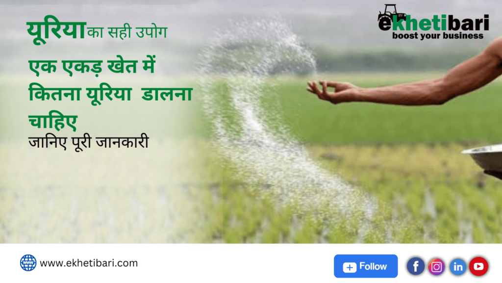 1 ekad khet me kitna urea dalna chahiye